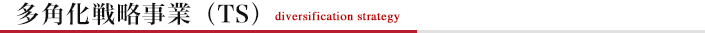 多角化戦略事業（TS）